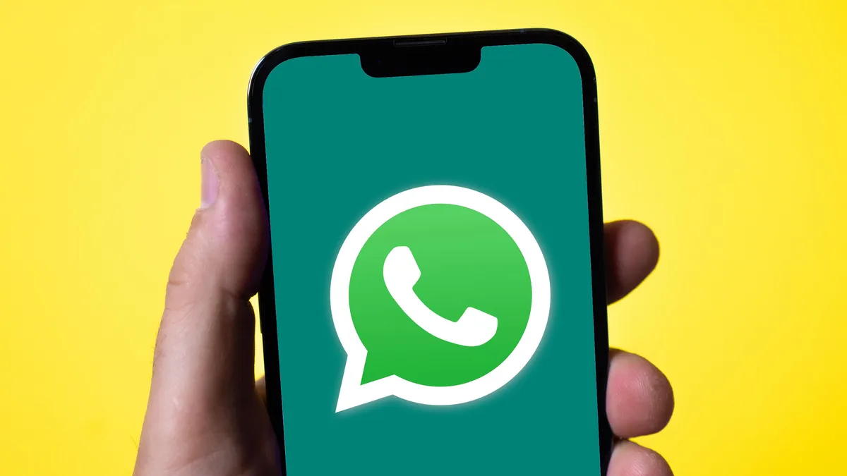 How can businesses use WhatsApp precision data for effective private marketing?